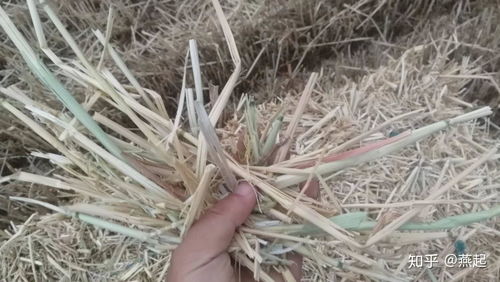 生物质压块的原材料环保吗