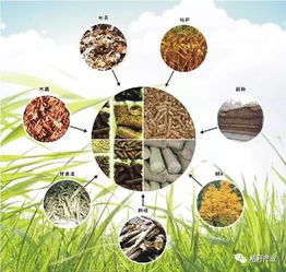 国家秸秆产业联盟丨生物质发电保障燃料供应成破局关键