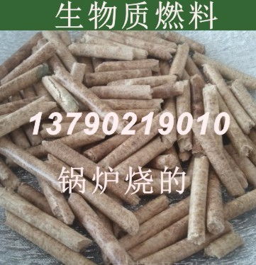 四川南邦生物质颗粒燃料高温裂解多功能燃烧机