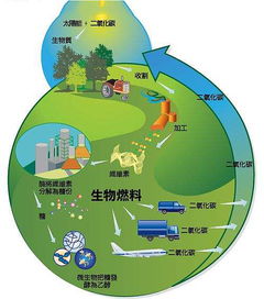 生物质能源燃料